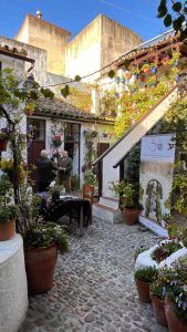 Presentación 50 aniversario Asociación amigos de los patios cordobeses